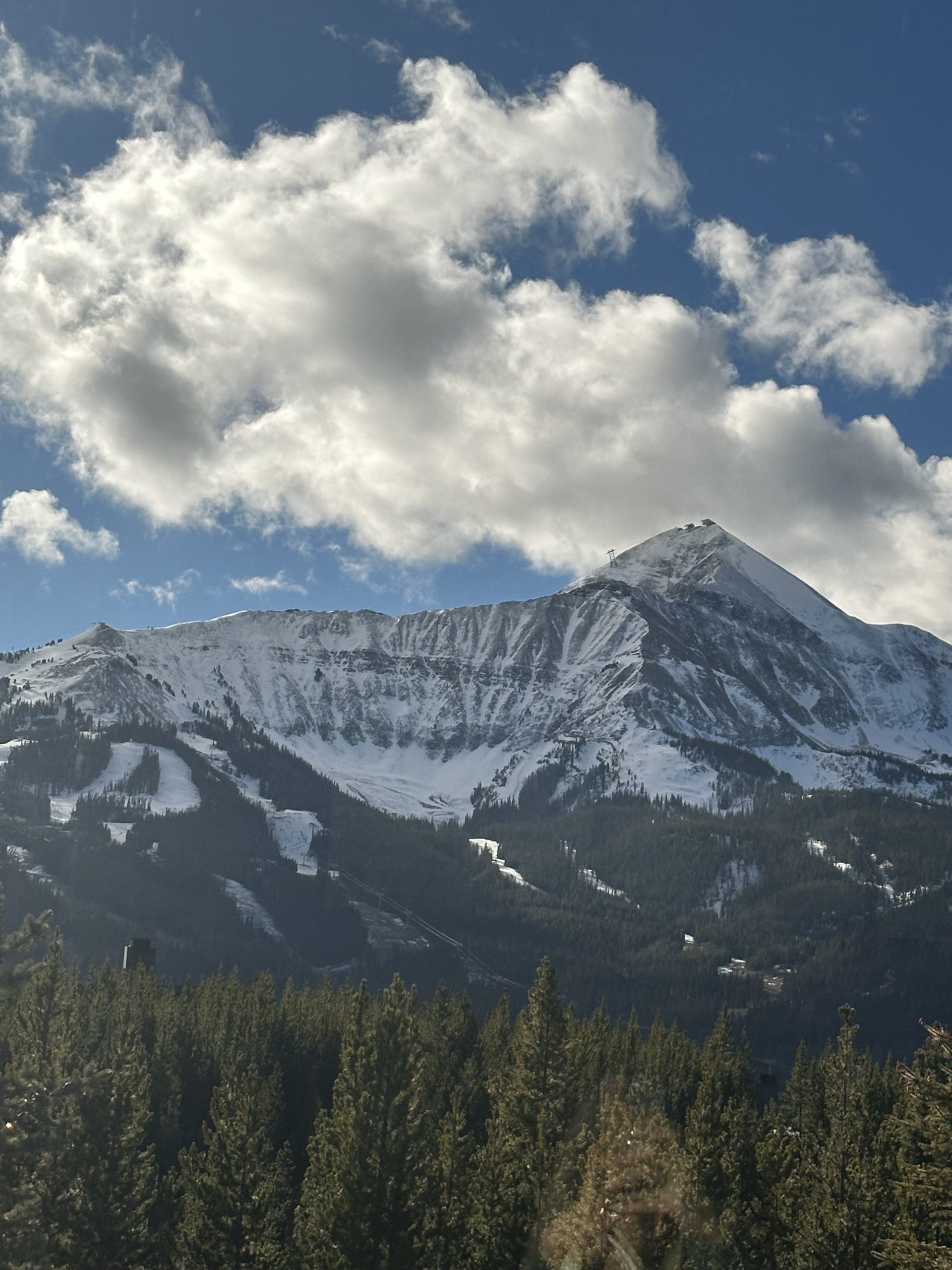 A Winter Escape to Big Sky and Wildlife Wonders in Yellowstone